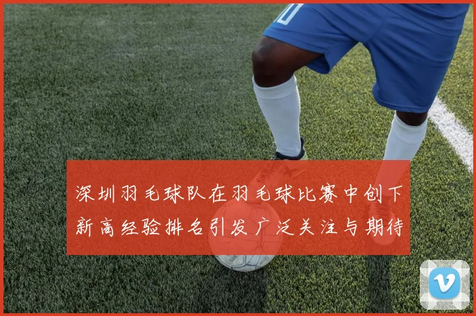 深圳羽毛球队在羽毛球比赛中创下新高经验排名引发广泛关注与期待